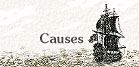 Causes