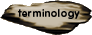 terminology